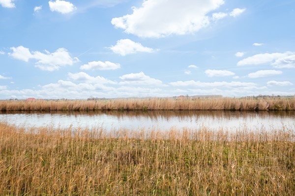 Foto - Te koop: Monnickendammerrijweg 51, 1452 PN Ilpendam